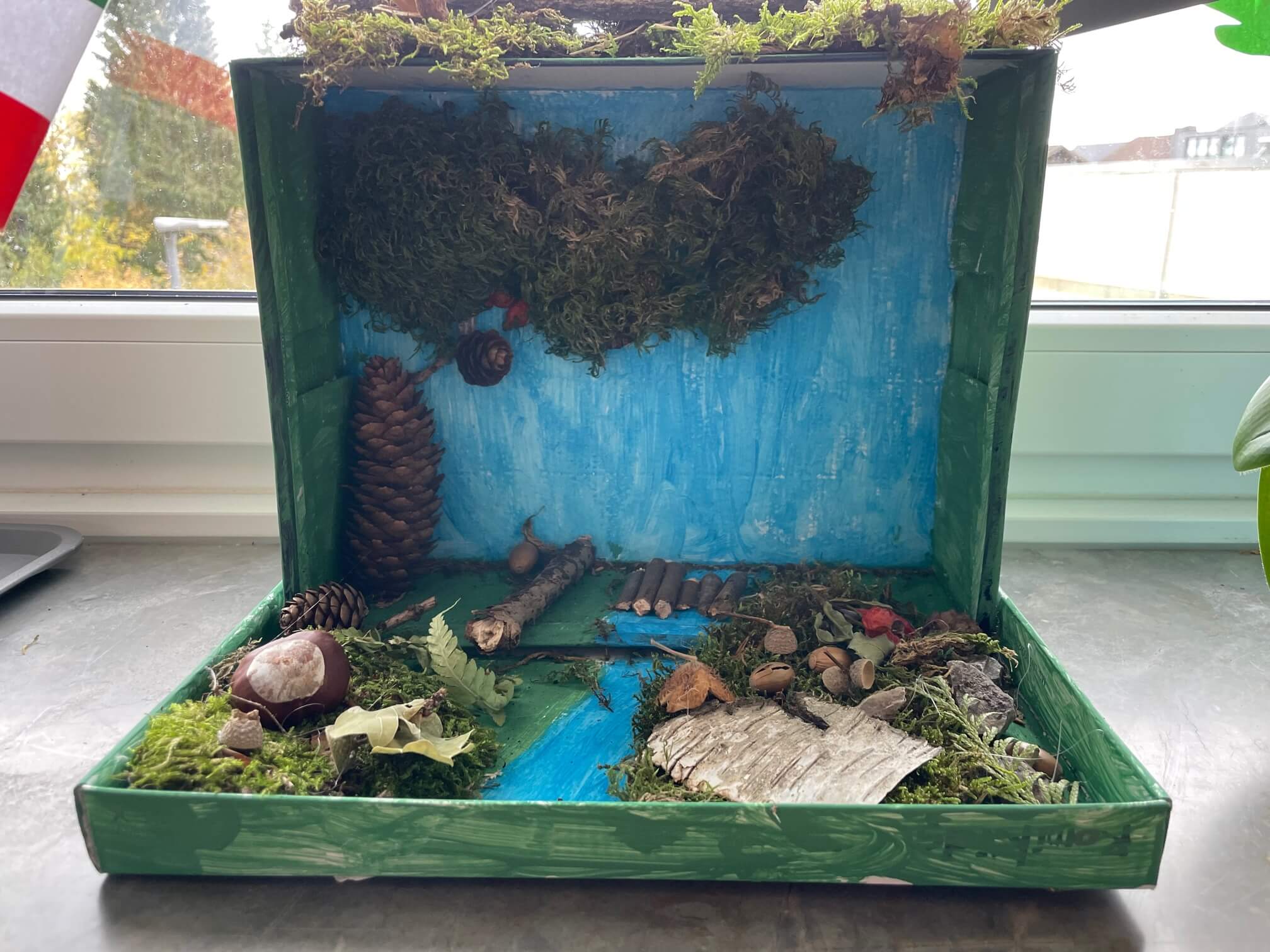 Der Wald im Schuhkarton - Schule unter der Iburg